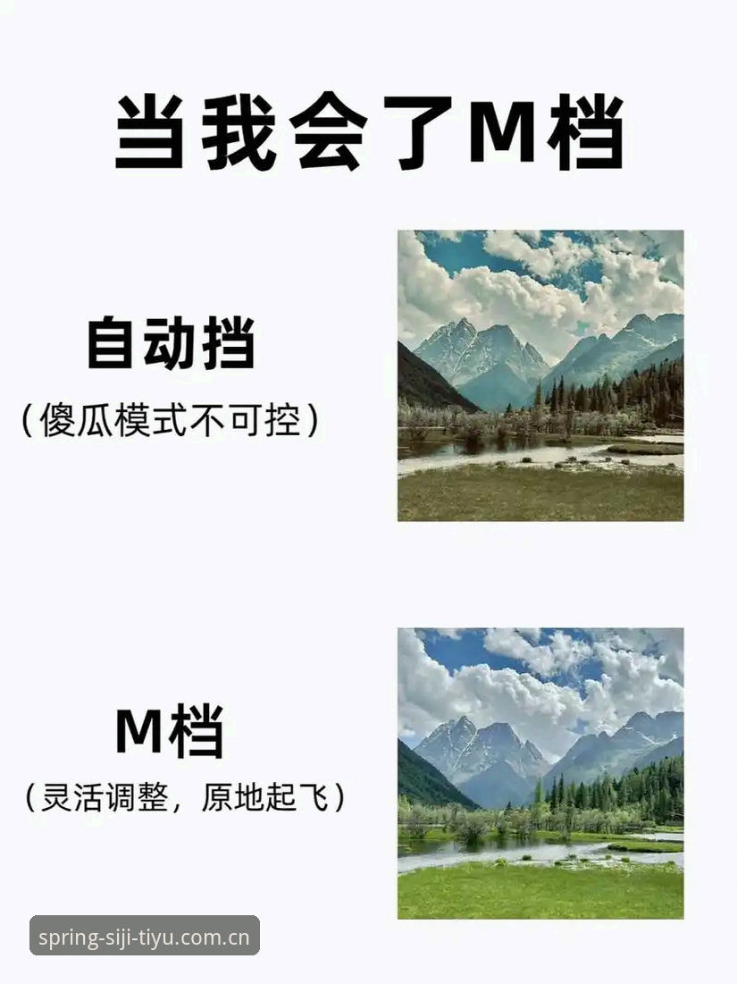 新手必看：四季体育APP官方入口与实用操作指南
